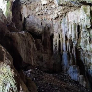 Attività di Speleologia Calabria Survival